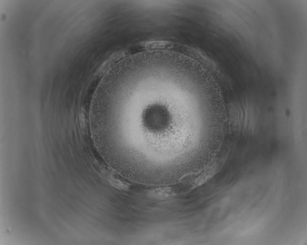 X0000074930761200609081325