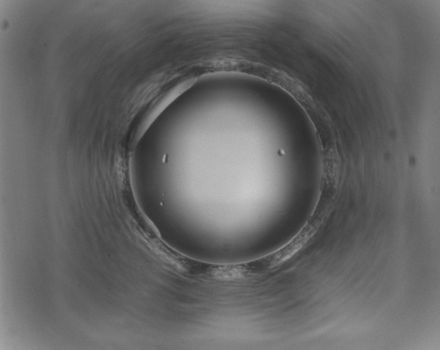 X0000074930762200609081325