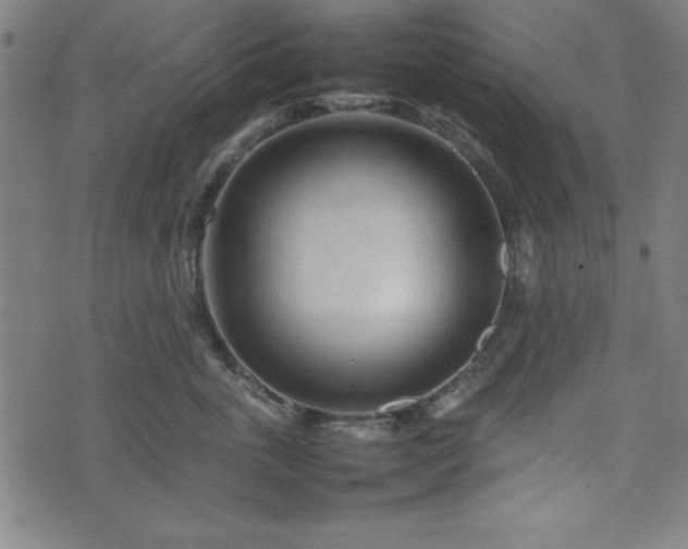 X0000074930763200609081325