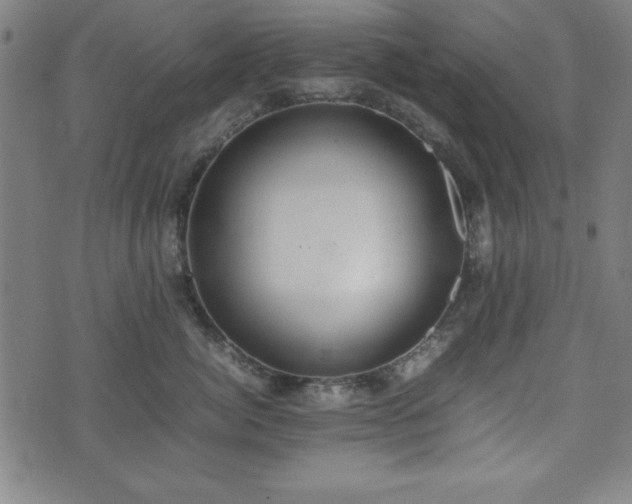 X0000074930764200609081326