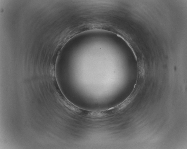 X0000074930766200609081326