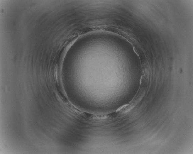 X0000074930767200609081326