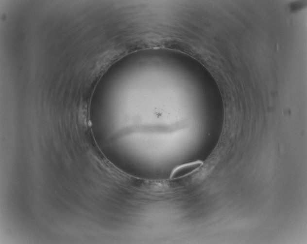 X0000074930768200609081326