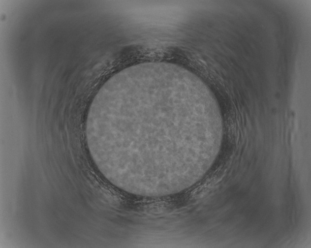 X0000074930769200609081325