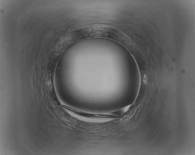 X0000074930771200609081325