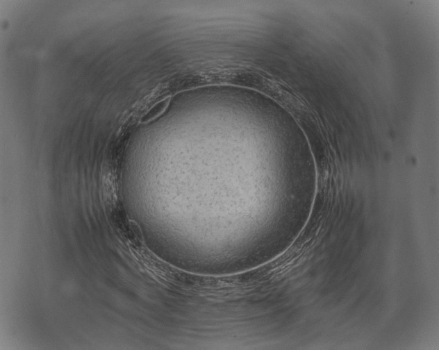 X0000074930772200609081325