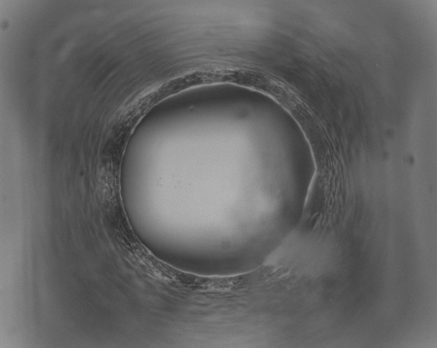 X0000074930773200609081325