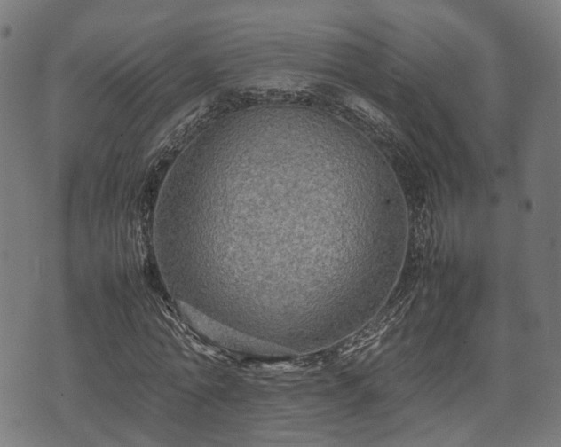 X0000074930774200609081325