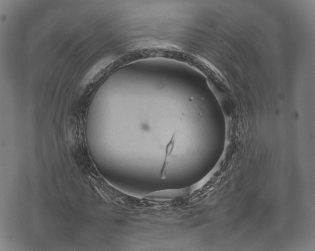 X0000074930775200609081325