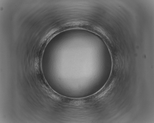 X0000074930778200609081325