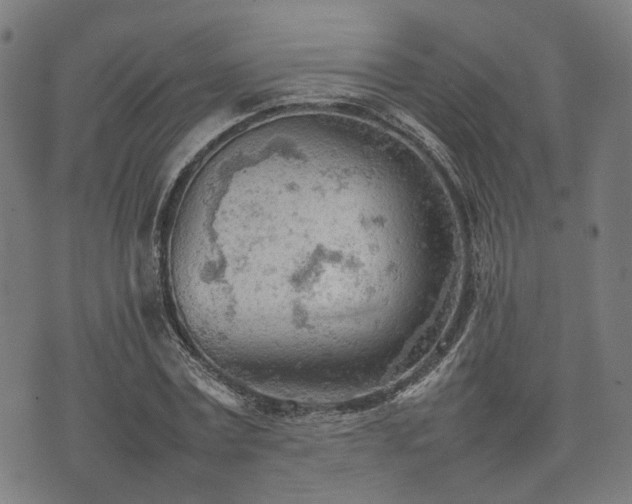 X0000074930779200609081325