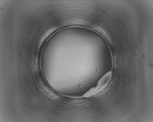 X0000074930780200609081325