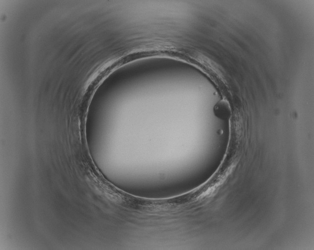 X0000074930781200609081325