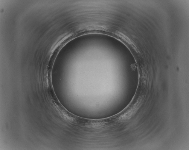 X0000074930782200609081325