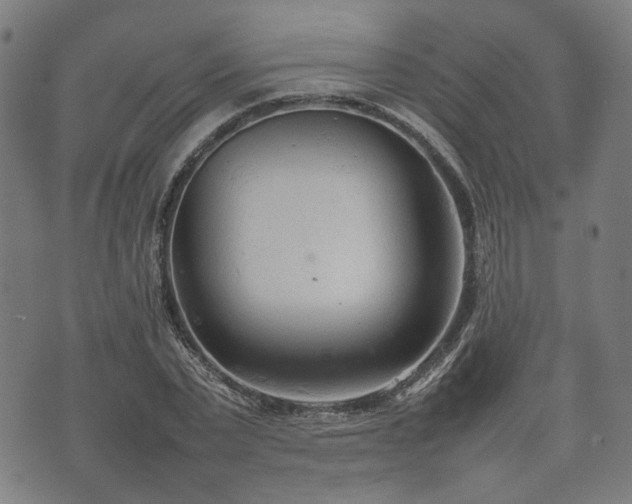 X0000074930783200609081325