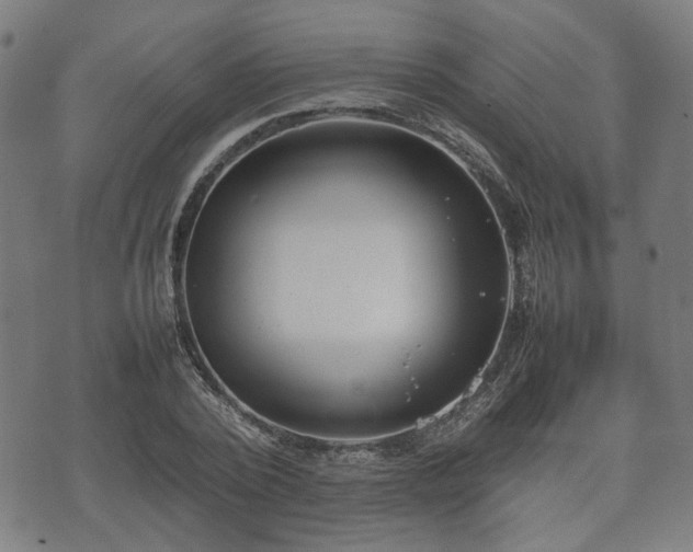 X0000074930784200609081325