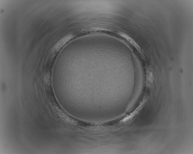 X0000074930785200609081325