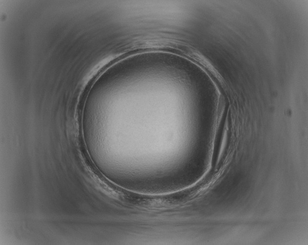 X0000074930787200609081324