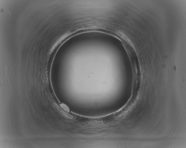 X0000074930789200609081324