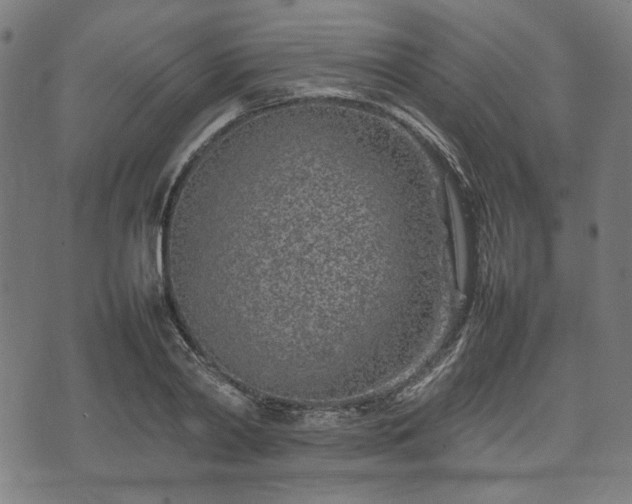 X0000074930790200609081324