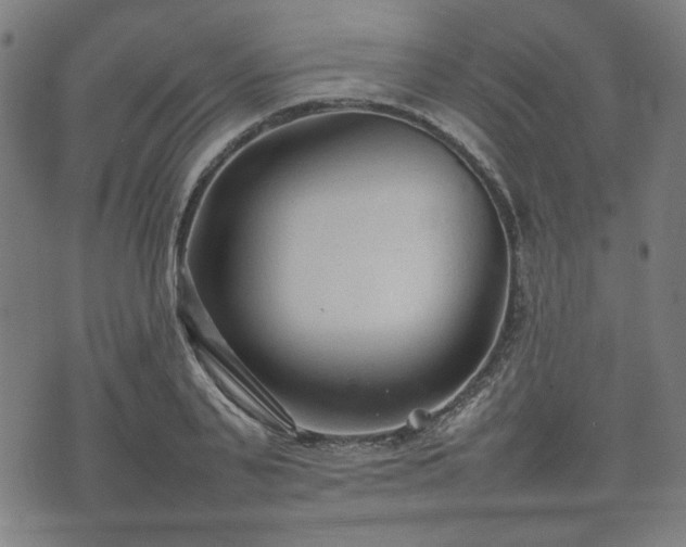 X0000074930791200609081324