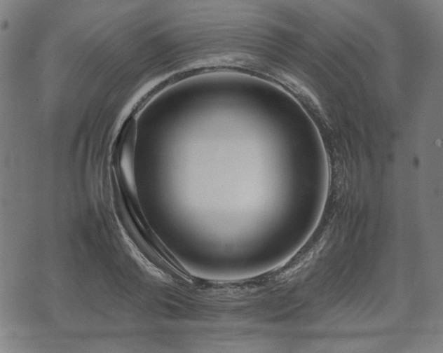 X0000074930792200609081324