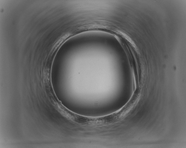 X0000074930793200609081324