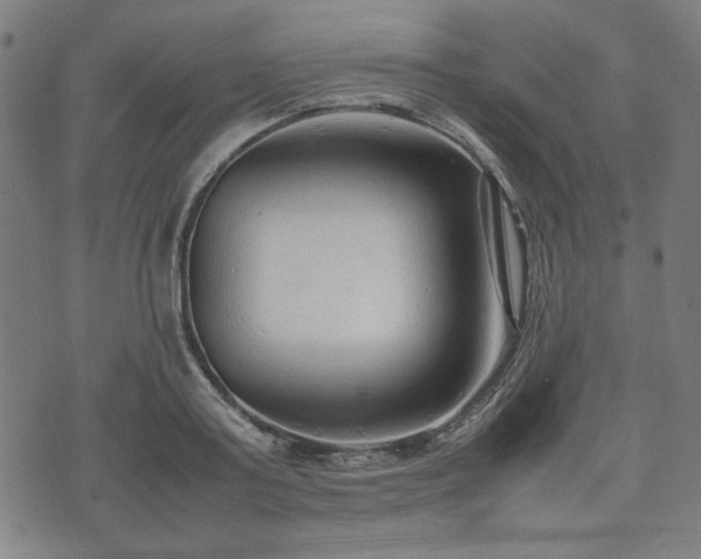 X0000074930795200609081324