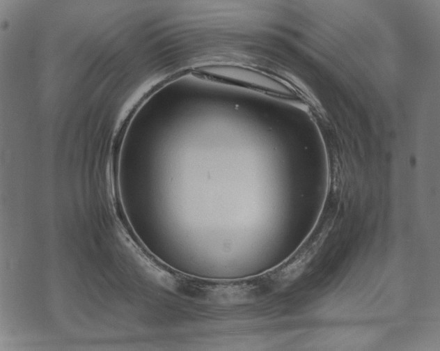 X0000074930796200609081324