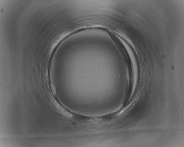 X0000074930797200609081324