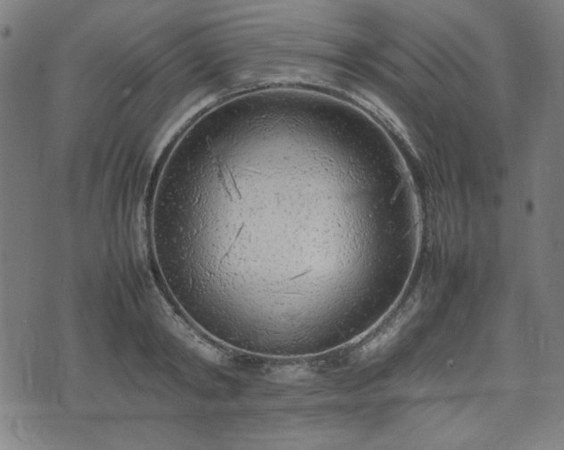 X0000074930798200609081324