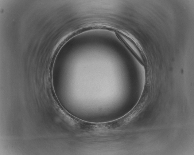 X0000074930799200609081324