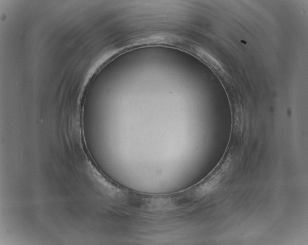 X0000074930800200609081324