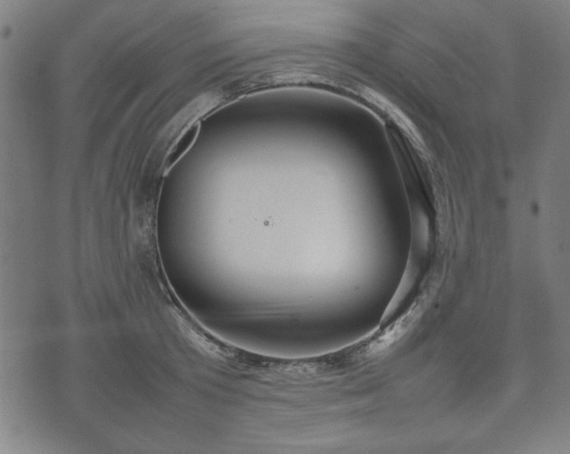 X0000074930801200609081324