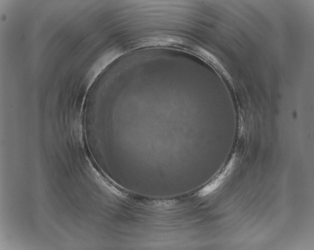 X0000074930802200609081324