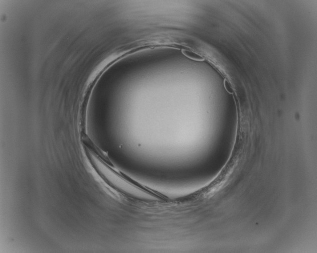 X0000074930803200609081324