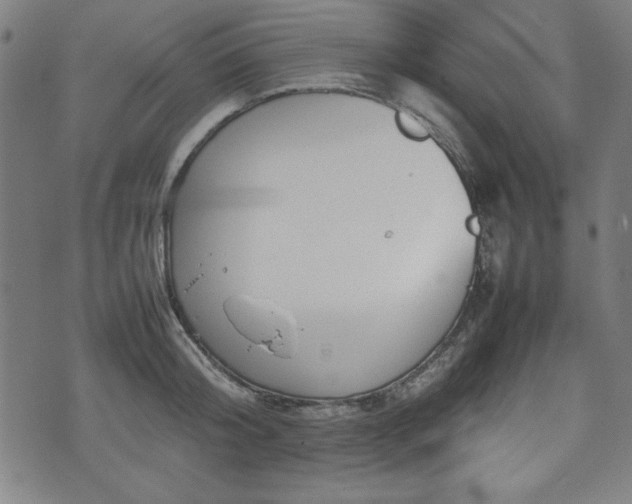 X0000074930804200609081324