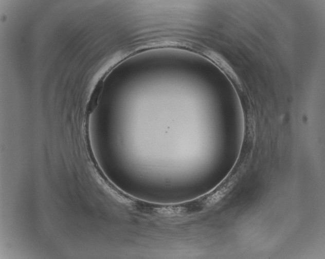 X0000074930805200609081324