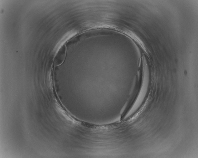 X0000074930806200609081324