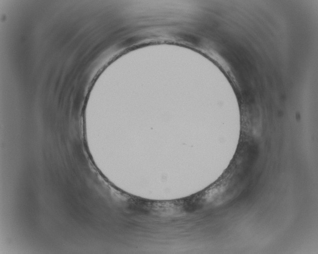 X0000074930807200609081324