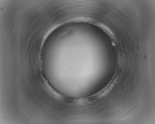 X0000074930808200609081324