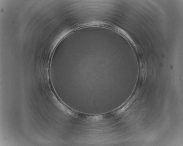 X0000074930810200609081324