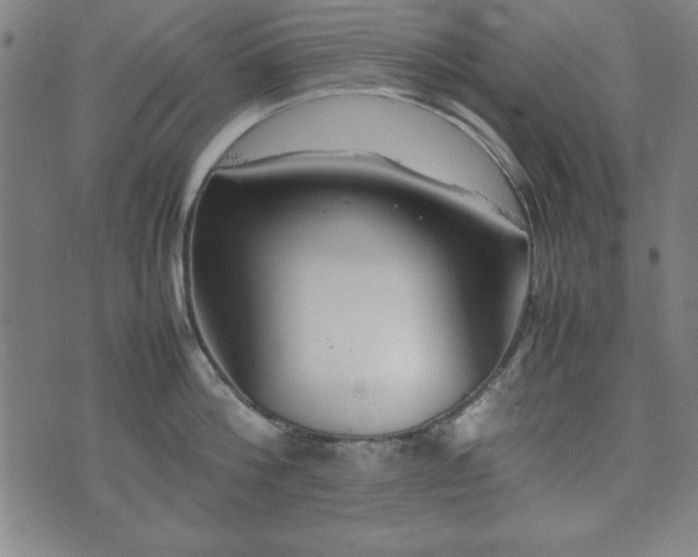 X0000074930812200609081324