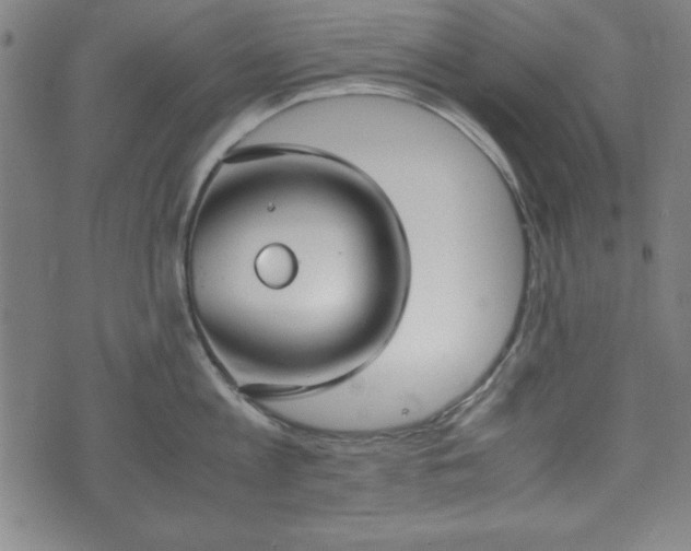 X0000074930813200609081324