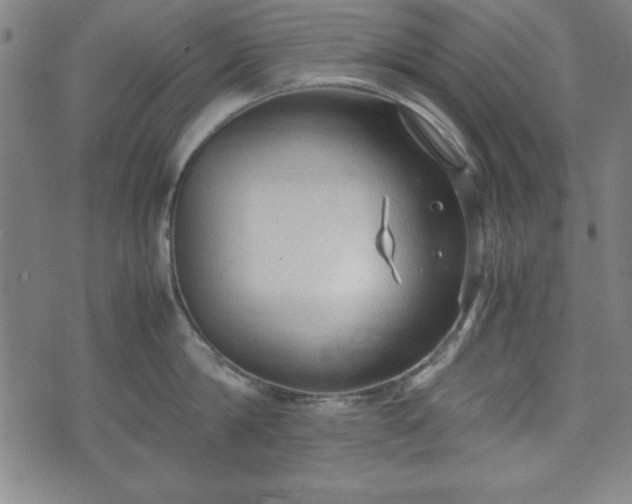 X0000074930814200609081324