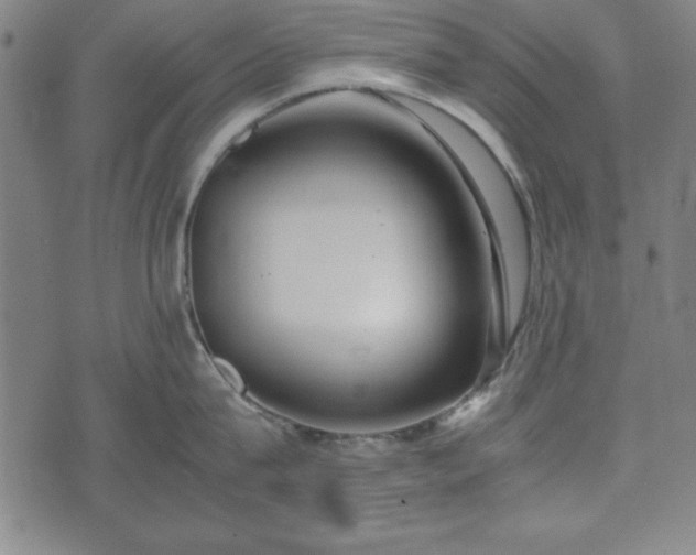 X0000074930815200609081324