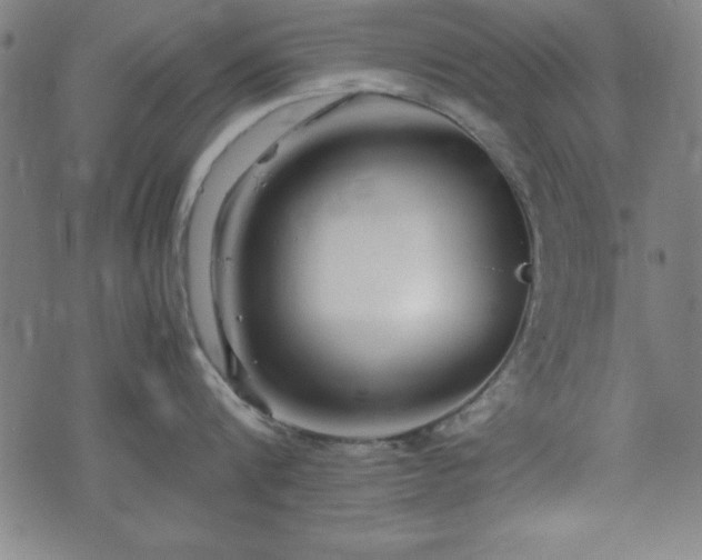 X0000074930816200609081324