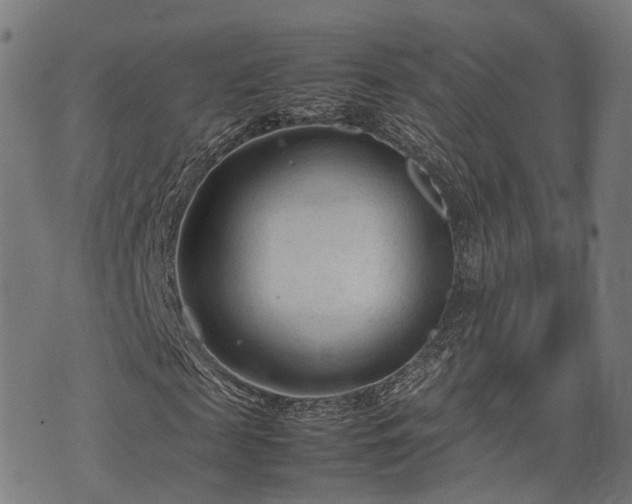 X0000074930817200609081323