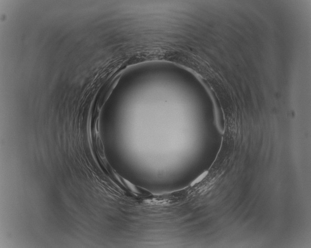 X0000074930818200609081323