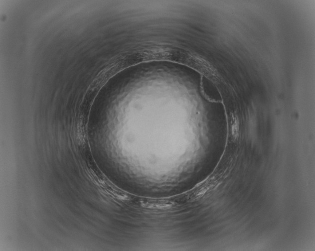 X0000074930819200609081323